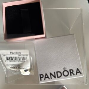 Pandora Harry Potter sorting hat